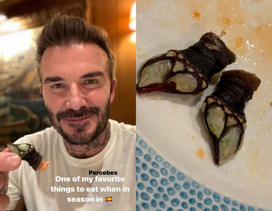 Beckham percebes