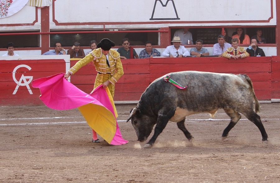 toros Asturias