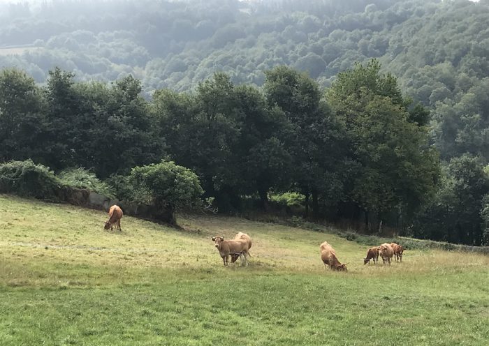 Galicia calidad de vida