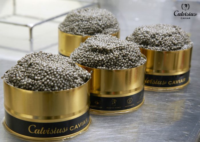 caviar Calvisius y Ars Italica