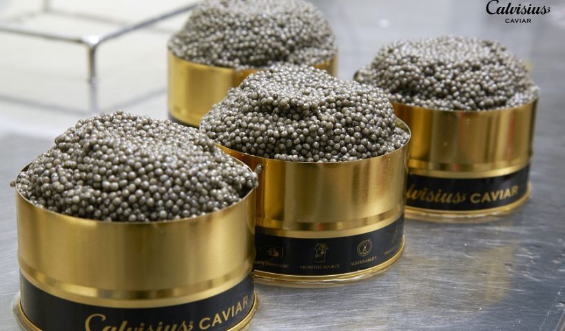 caviar Calvisius y Ars Italica