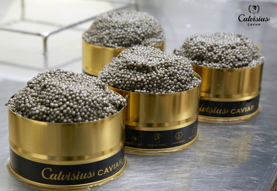 Calvisius y Ars Italica cierran un exitoso año lleno de eventos y ...